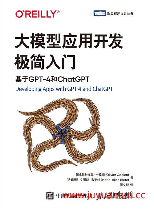 《大模型应用开发极简入门：基于GPT-4和ChatGPT 》✓