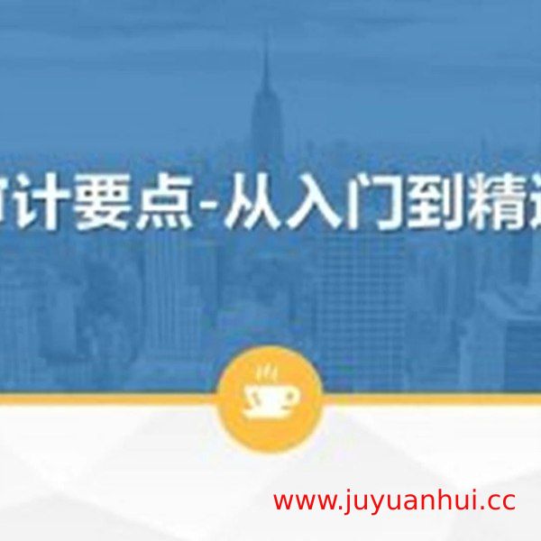 《学通审计实务要点从入门到精通课》审计实务核心教程