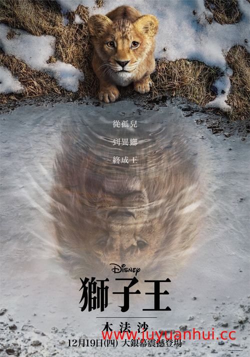 狮子王：木法沙传奇 (2024) 4K HDR & Dv 中字内嵌字幕