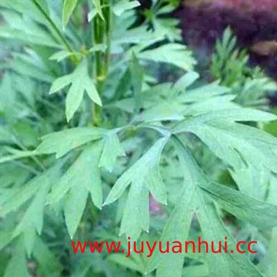 《Bai Yin Jiang Jie Shi Wei Shi》电子书 (EPUB)