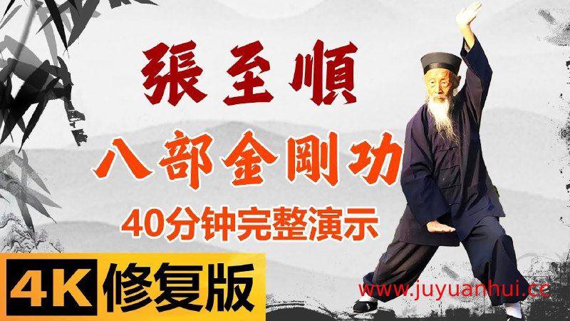 《张至顺-八部金刚功4K画质重制版》