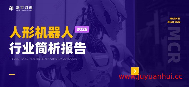 人形机器人行业研究报告合集（2024-2025）