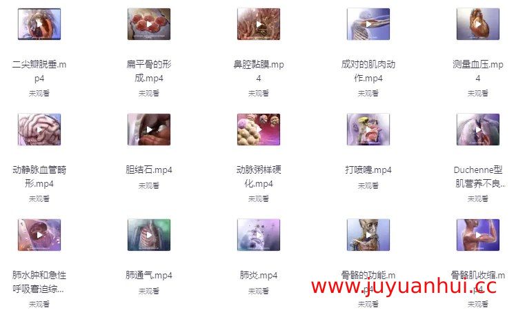 《人体器官医学解说》视频字幕版 - 人体解剖与生理学科普教学资源