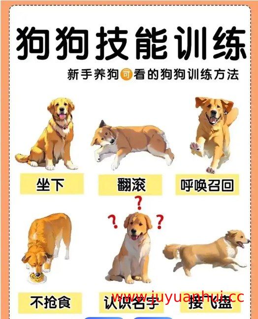 专业犬只行为与服从训练140课合集