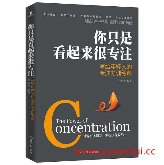 《你只是看起来很专注》张笑恒 (EPUB电子书)