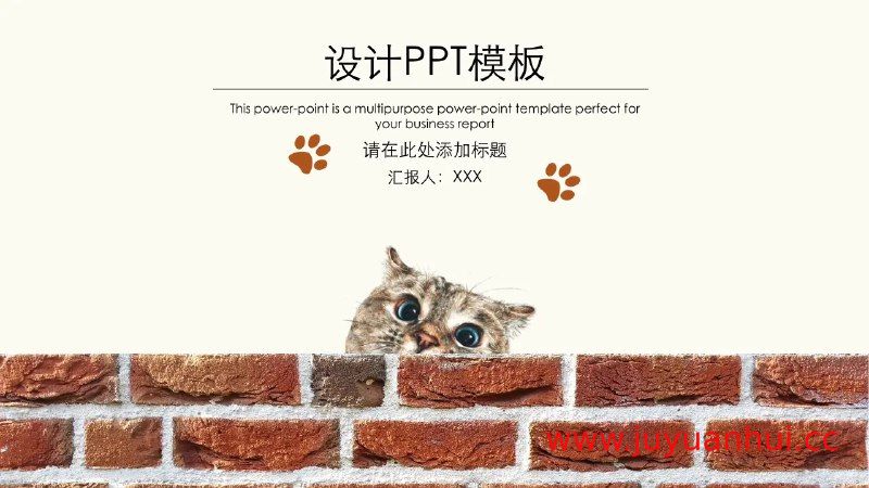 《猫咪主题PPT模板》专业设计素材集合✓