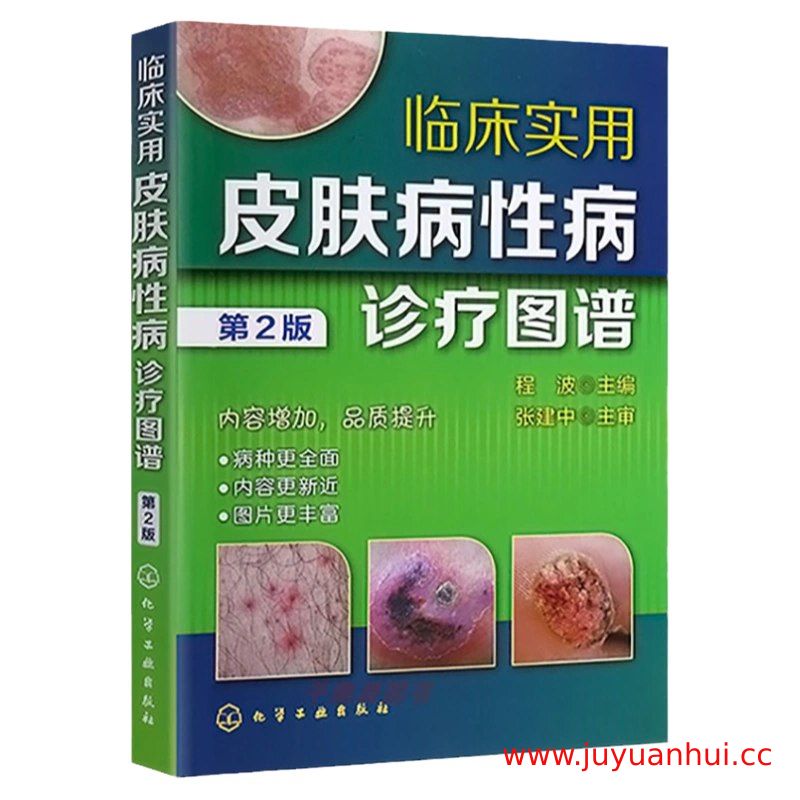 《临床实用皮肤病性病诊疗图谱》第2版 PDF电子书